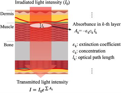Photoplethysmogram Analysis and Applications: An Integrative Review